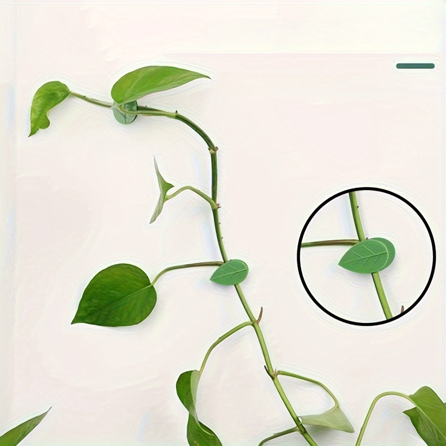 10/30/50pcs Invisible Plant Climbing Wall Fixture Rattan Vine Bracket Fixed Buckle Leaf Clips Traction Holder Garden опора для растений