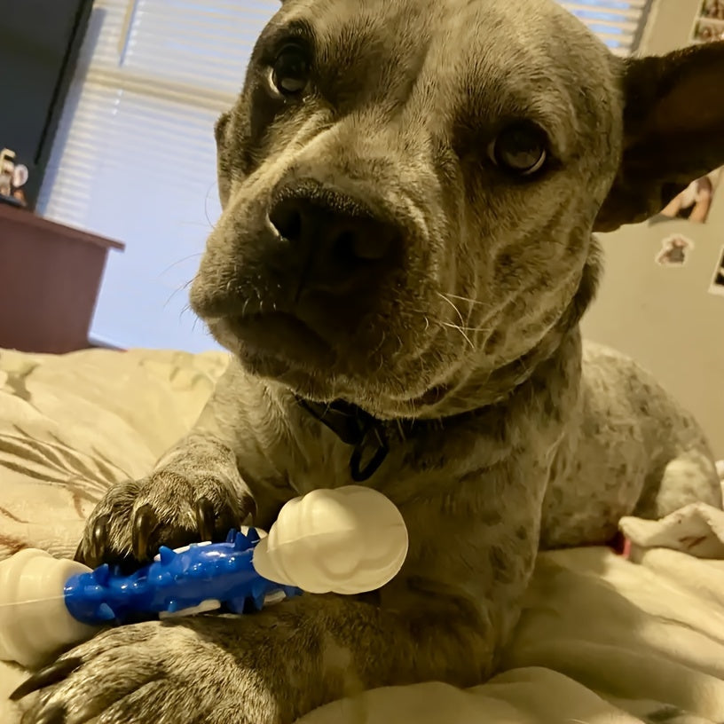 Durable Dog Chew Toy for Teeth Cleaning -