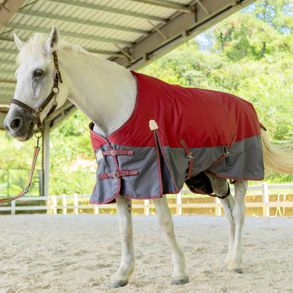 BARN & STABLE Heavy-Duty 600D Waterproof Horse Blanket - 3000mm/3000mvp Winter Turnout Rug with 200g Fill, & Adjustable Fit, All-Weather Horse Cover for Horses (Arabian, Thoroughbred, Shetland) - Durable Equestrian Gear, Hors