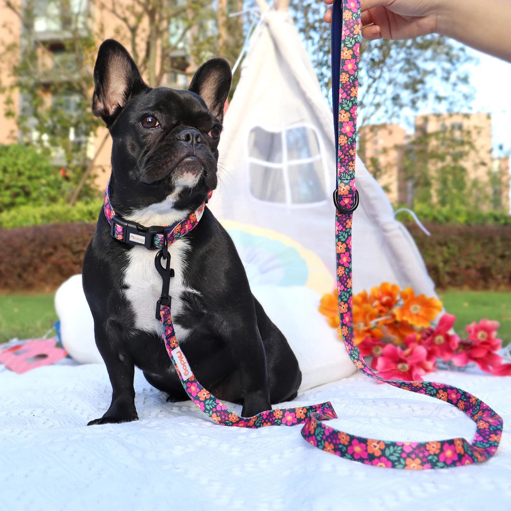 Print Nylon Dog Collar and Leash Set Adjustable Puppy Collars Soft Pet Necklace Walking Leash For Small Medium Dogs Cats Bulldog