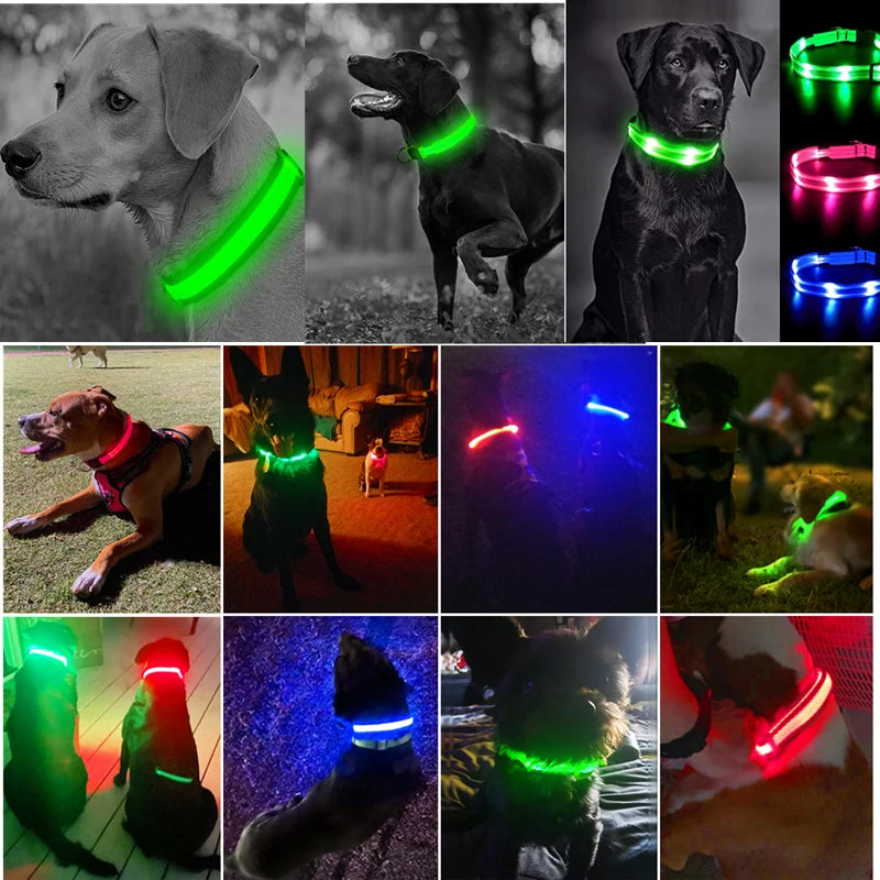 Led Glowing Dog Collar  Luminous Collar Adjustable Night Light  Harness Dog Leash For Girl Small Dogs Cat Pet Safety Accessories