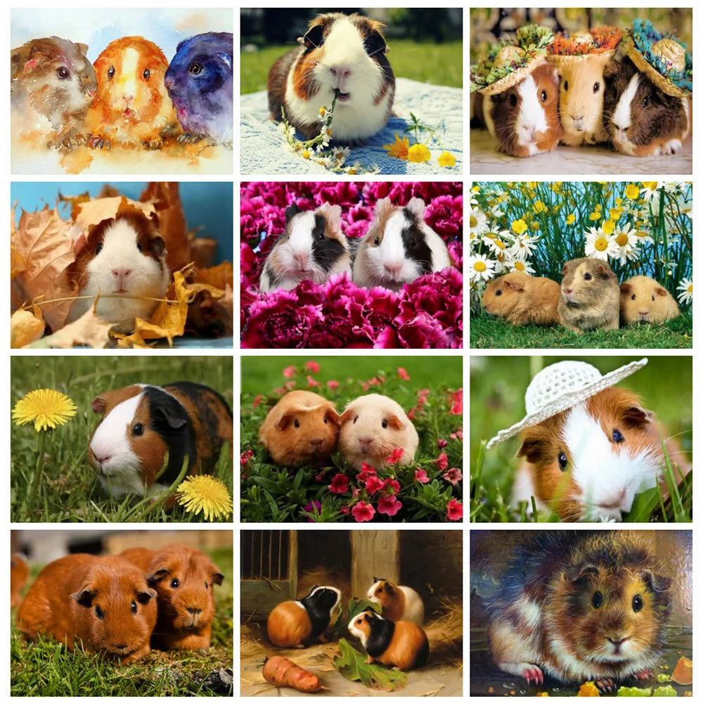 Huacan 5d Diamond Painting New Arrivals Guinea Pig Cross Stitch Embroidery Pet Rat Mosaic Mouse Home Decor