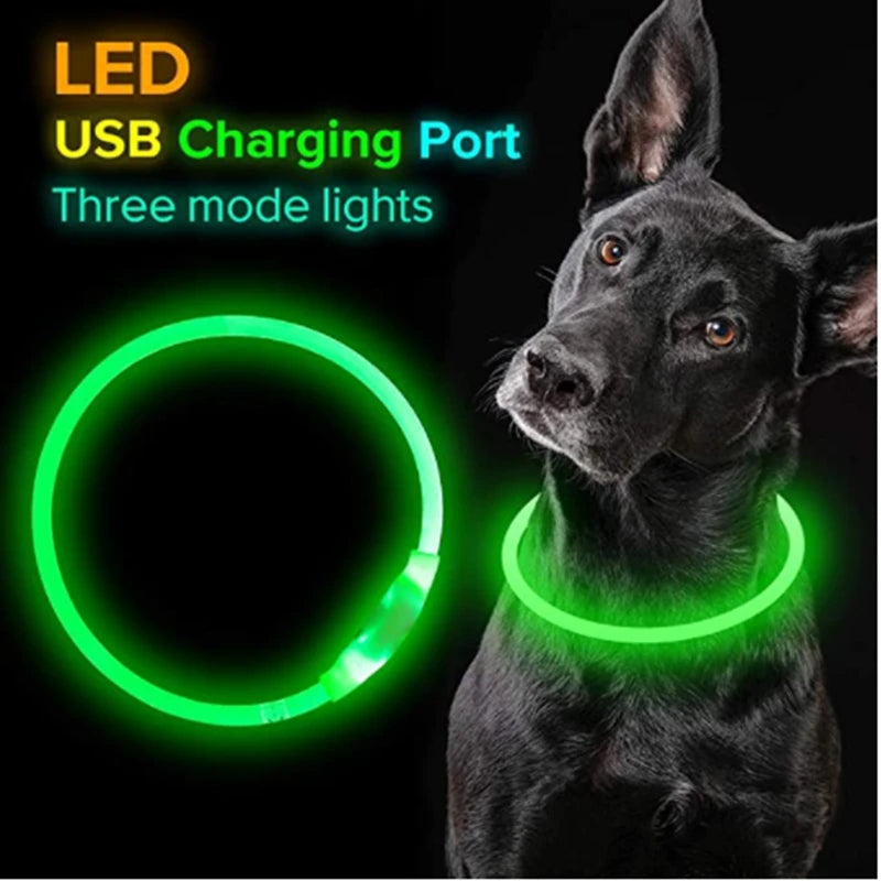 Led Glowing Dog Collar  Luminous Collar Adjustable Night Light  Harness Dog Leash For Girl Small Dogs Cat Pet Safety Accessories