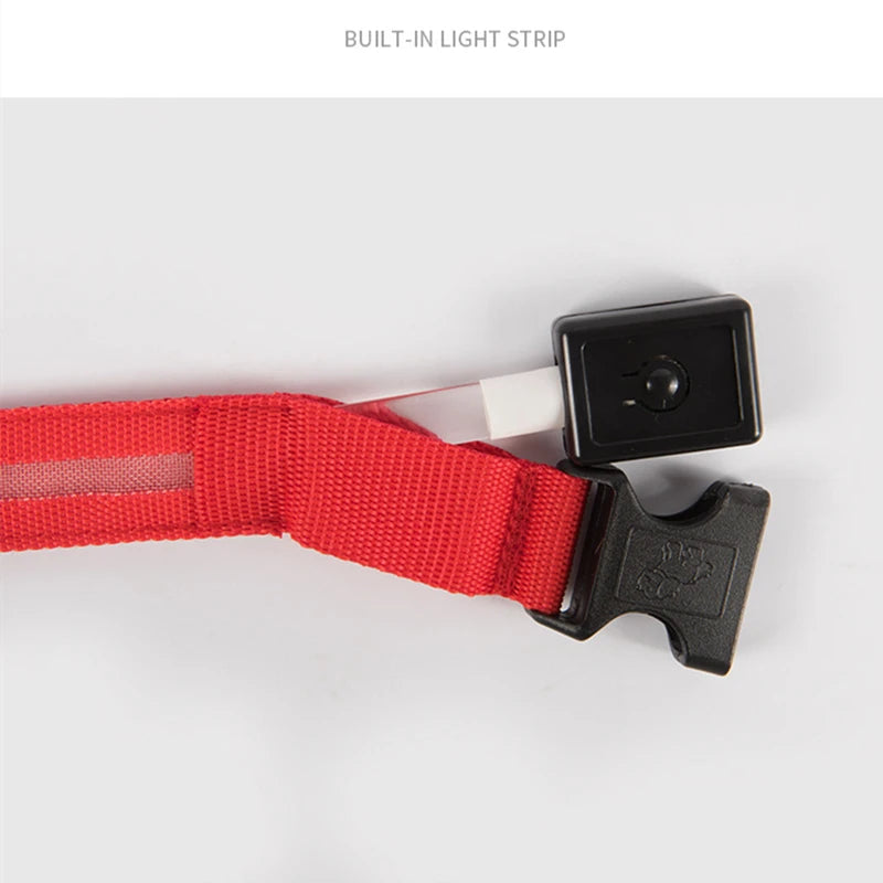 Led Glowing Dog Collar  Luminous Collar Adjustable Night Light  Harness Dog Leash For Girl Small Dogs Cat Pet Safety Accessories