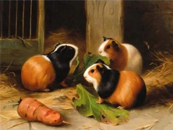 Huacan 5d Diamond Painting New Arrivals Guinea Pig Cross Stitch Embroidery Pet Rat Mosaic Mouse Home Decor