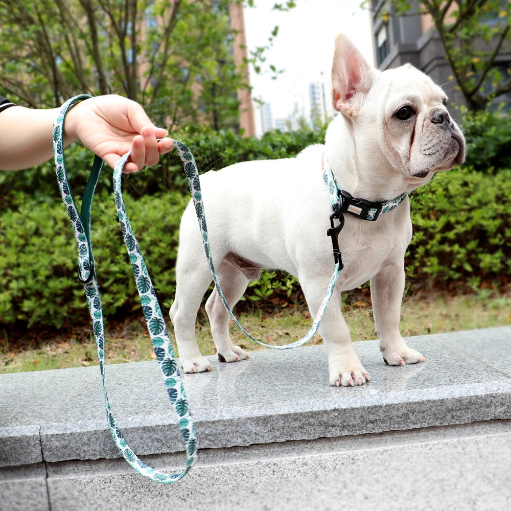 Print Nylon Dog Collar and Leash Set Adjustable Puppy Collars Soft Pet Necklace Walking Leash For Small Medium Dogs Cats Bulldog