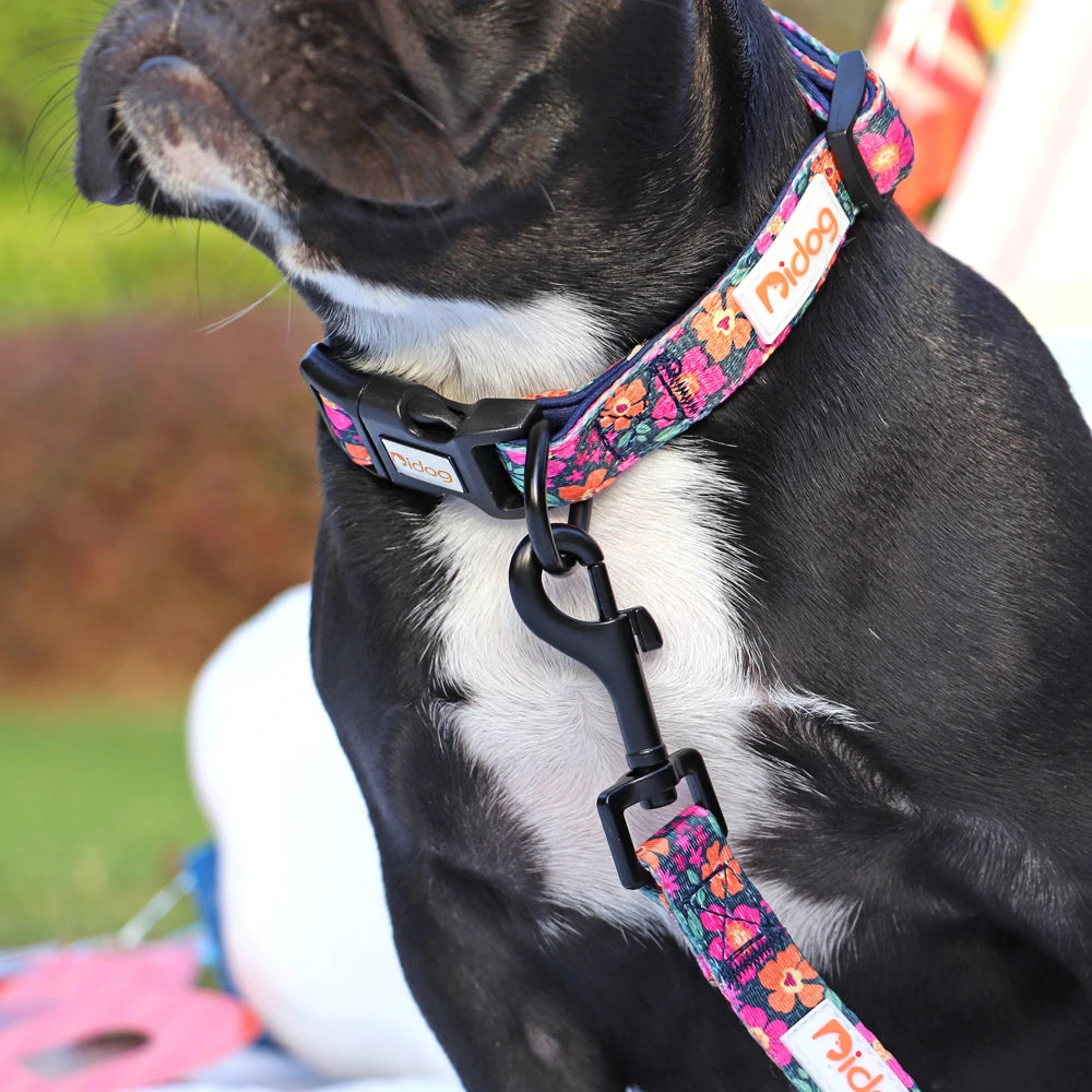 Print Nylon Dog Collar and Leash Set Adjustable Puppy Collars Soft Pet Necklace Walking Leash For Small Medium Dogs Cats Bulldog