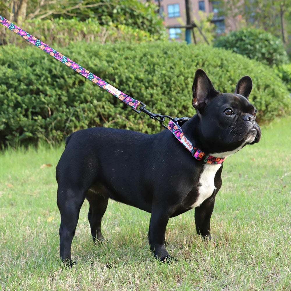 Print Nylon Dog Collar and Leash Set Adjustable Puppy Collars Soft Pet Necklace Walking Leash For Small Medium Dogs Cats Bulldog