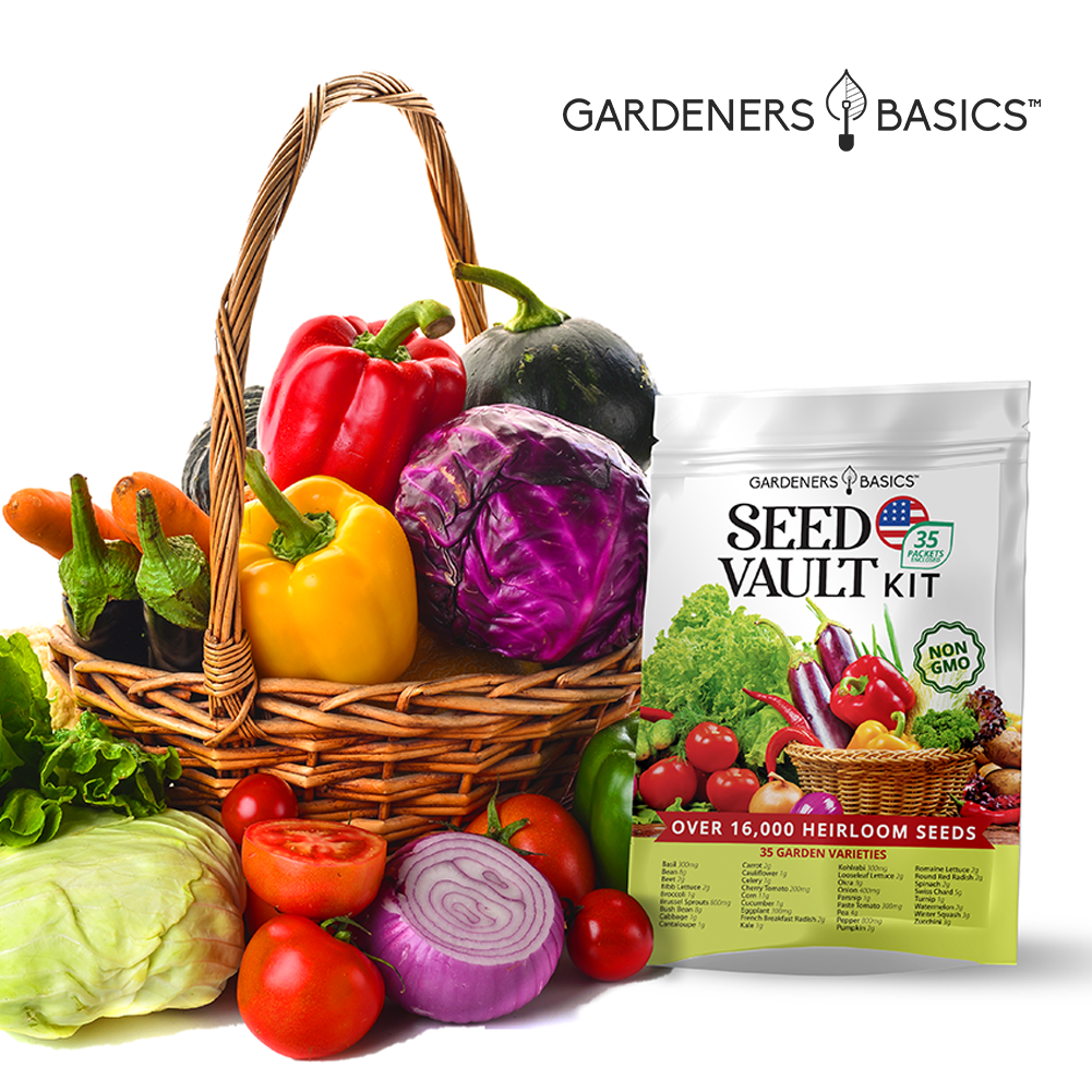 Vegetable Seed Vault Kit – 35 Heirloom Non-GMO Vegetable Seeds for Gardening & Survival Food Storage