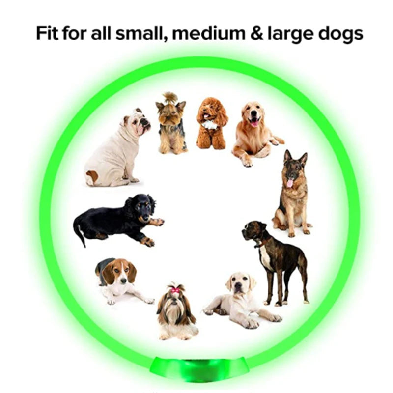 Led Glowing Dog Collar  Luminous Collar Adjustable Night Light  Harness Dog Leash For Girl Small Dogs Cat Pet Safety Accessories