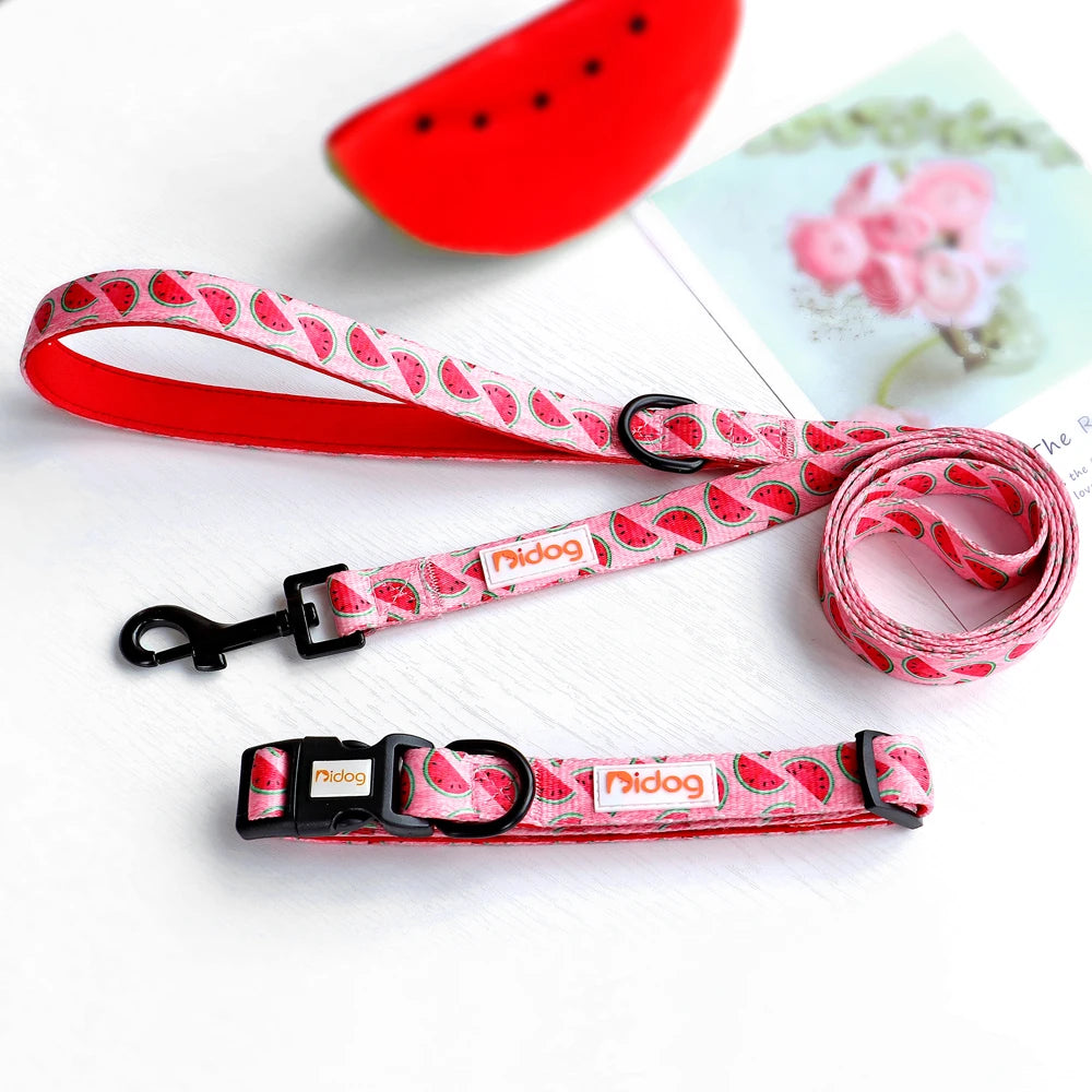 Print Nylon Dog Collar and Leash Set Adjustable Puppy Collars Soft Pet Necklace Walking Leash For Small Medium Dogs Cats Bulldog