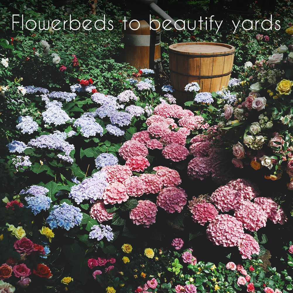 Wildflower, Perennial, & Annual Flower Seed Kit | 35 Variety Pack