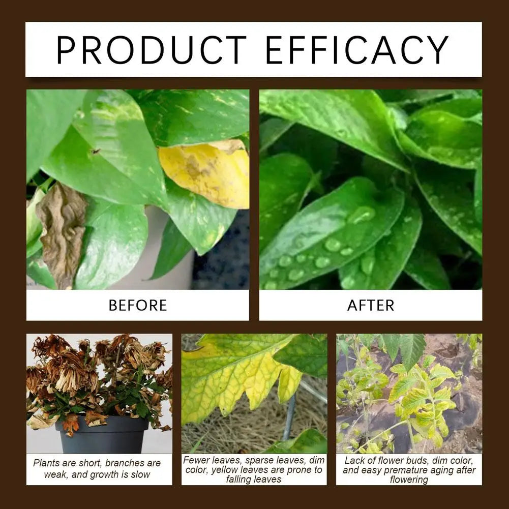Garden Soil Conditioner Mineral Source Activator For Prevent Soil Compaction Promote Rooting Flower Plant Fertilizer Nutrient
