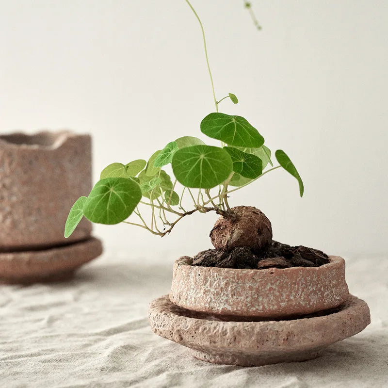 Retro Gardening Small Flowerpot Home Decoration Handmade Ceramic Terracotta Pot Hammered Basin with Tray Succulent Planting
