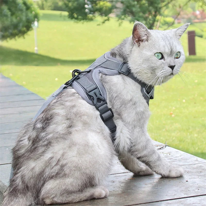 High Quality Fashion Cat Dog Harness and Leash Set Reflective Pet Harnesses Vest for Cats Small Dogs Pets Out Door Walk Supplies