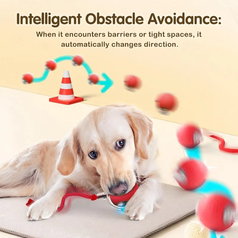 Cat Interactive Ball Toy Pet Automatic Rolling Ball Rechargeable Smart Puppy Interactive Toy Dog Electric Training Imitate Mouse
