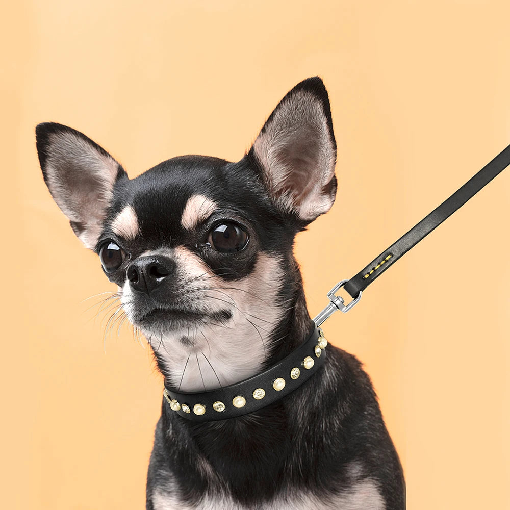 Genuine Leather Small Medium Dog Cat Collar Adjustable Rhinestone Diamond Accessories Pet Puppy Collars Leash Set For Chihuahua