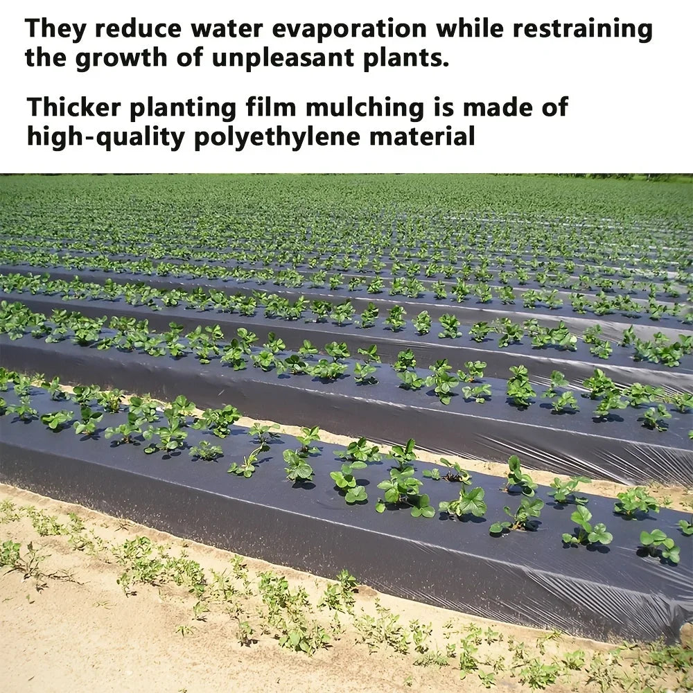 Garden Agricultural Breathable Perforated Weed Barrier Fabric1Sheet Plastic Covering Film Weed Control Cloth Landscape Mulch