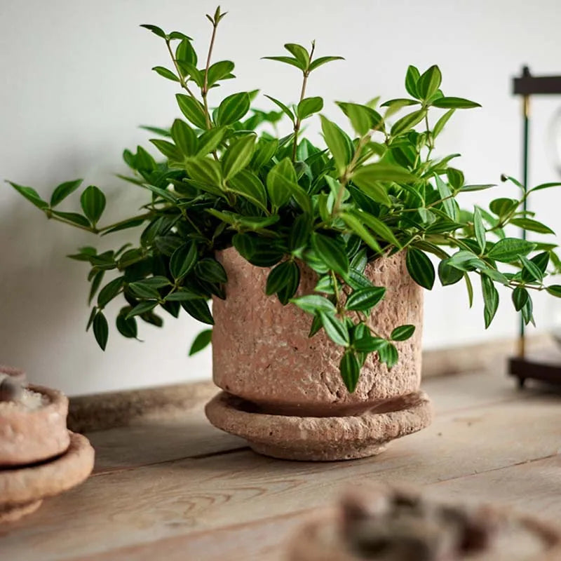 Retro Gardening Small Flowerpot Home Decoration Handmade Ceramic Terracotta Pot Hammered Basin with Tray Succulent Planting