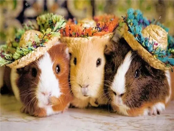 Huacan 5d Diamond Painting New Arrivals Guinea Pig Cross Stitch Embroidery Pet Rat Mosaic Mouse Home Decor