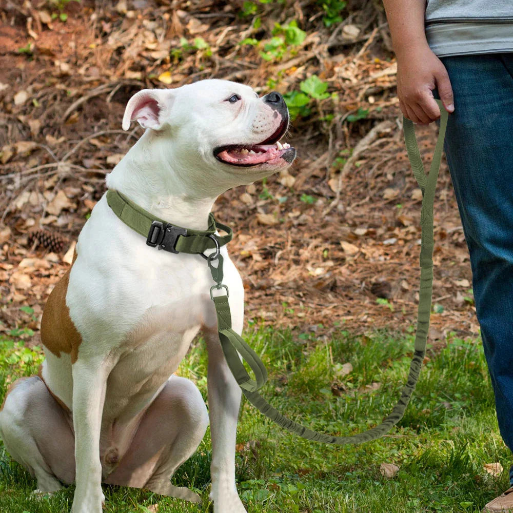 The Tactical Luxe Collar & Leash