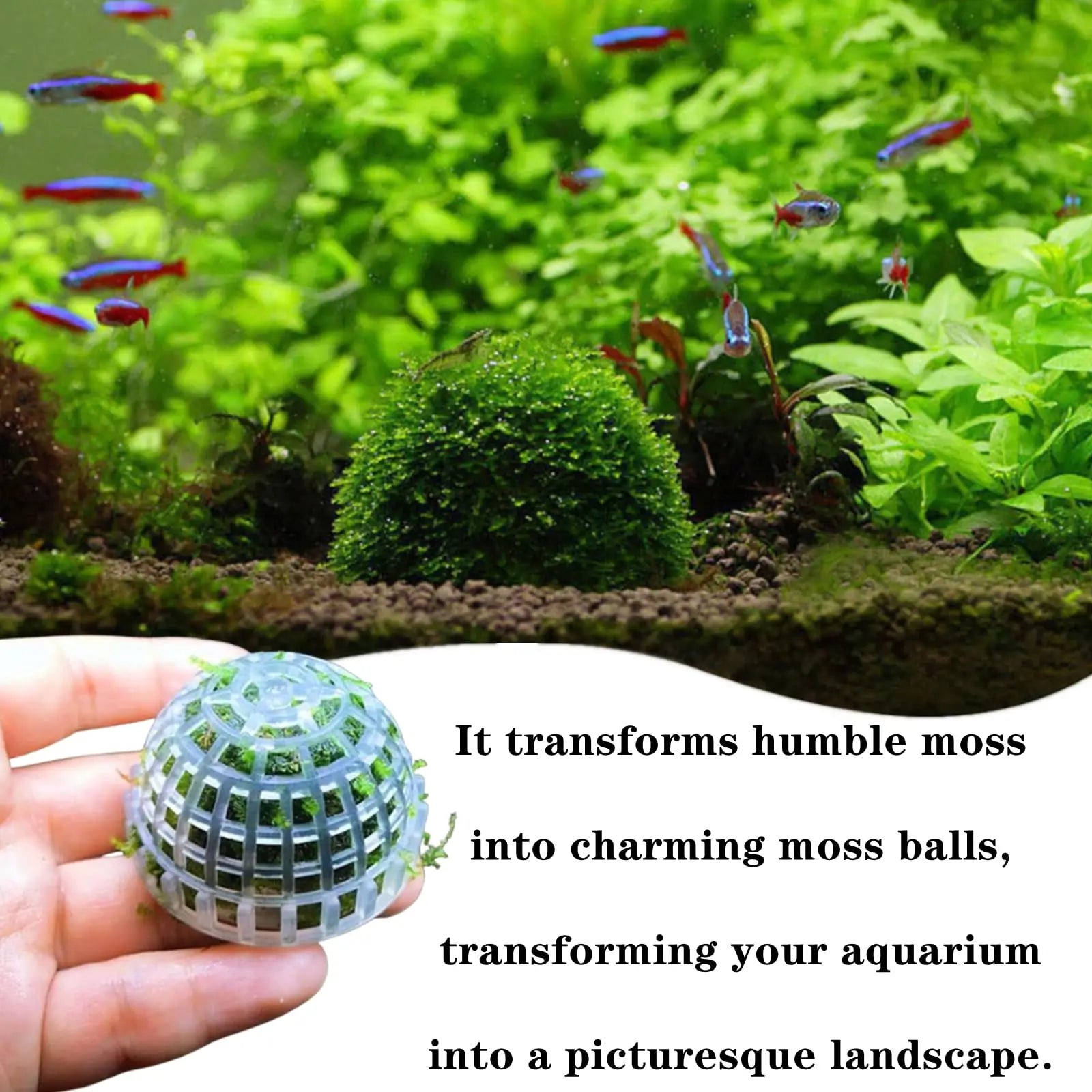 New Aquatic Pet Supplies Decorations Aquarium Natural Moss Ball Live Plants Filter Pet Fish Tank Decor Accessories