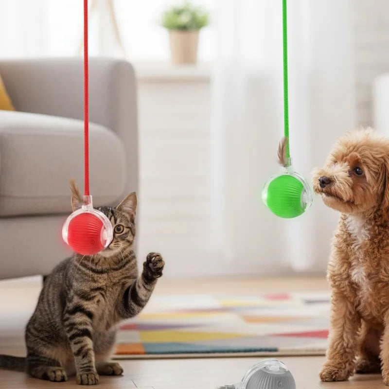 Cat Interactive Ball Toy Pet Automatic Rolling Ball Rechargeable Smart Puppy Interactive Toy Dog Electric Training Imitate Mouse