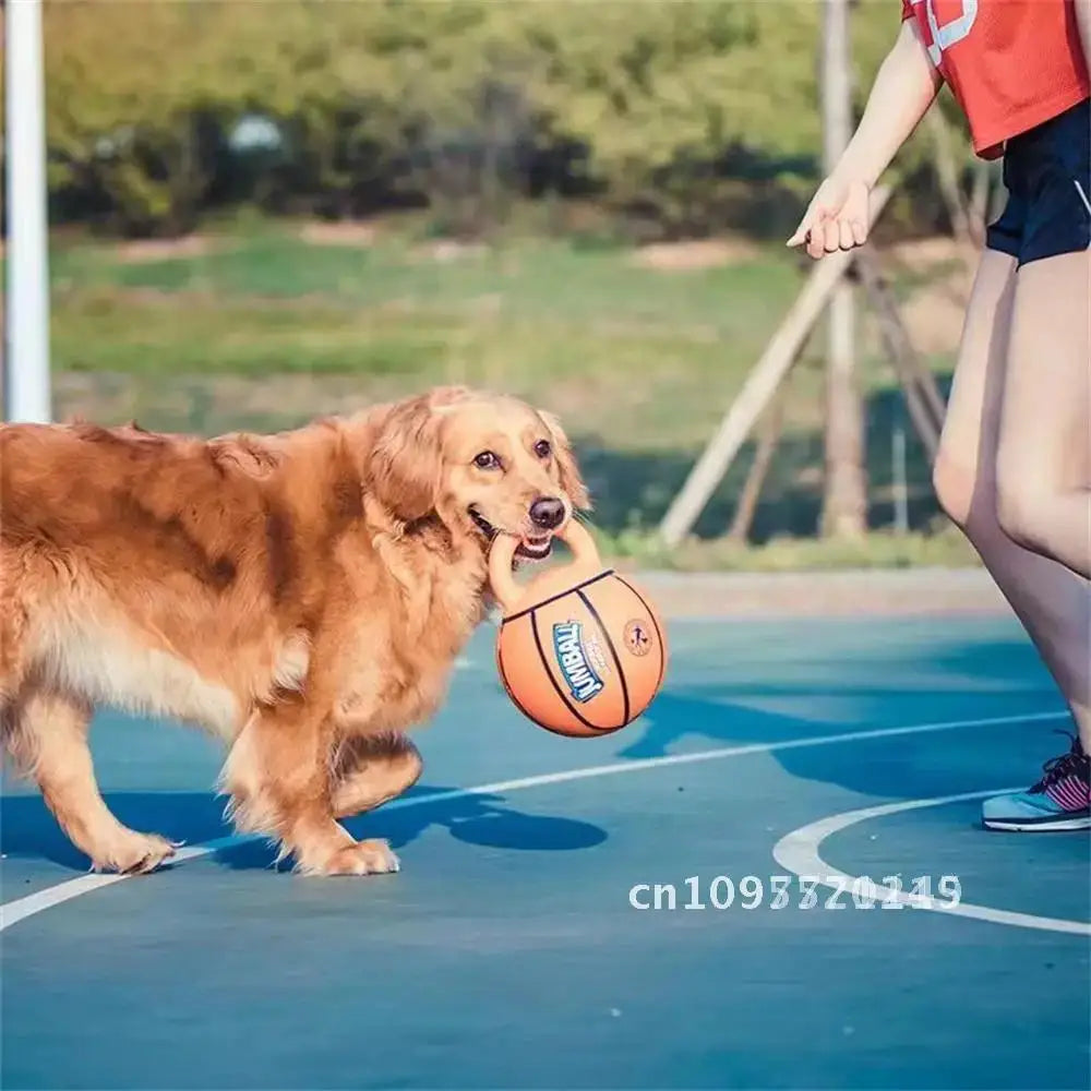 Pet Toy Toy Ball Bite-Resistant Basketball Rubber Handle Indestructible, Small and Dog Ball Game Interactive Training Large Dog
