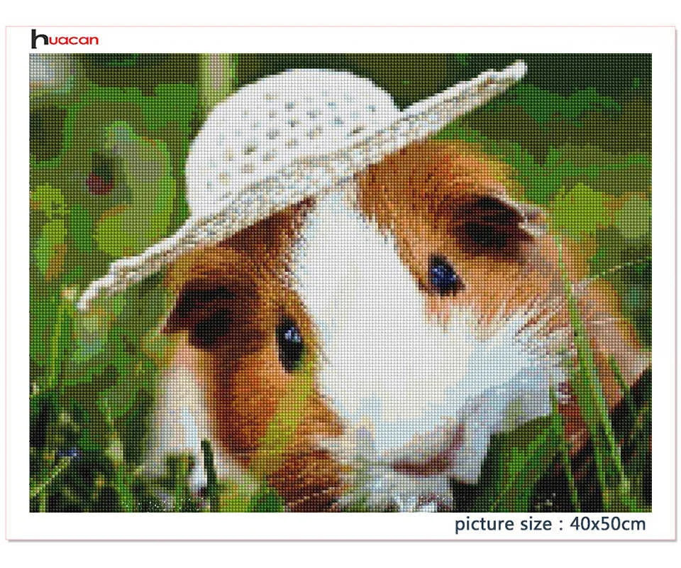 Huacan 5d Diamond Painting New Arrivals Guinea Pig Cross Stitch Embroidery Pet Rat Mosaic Mouse Home Decor