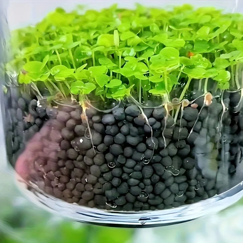 500g 1000g Aquarium Plant Substrate Aquatic Soil for Fish Tank Decoration and Aquascaping Essential for Aquarium Enthusiasts