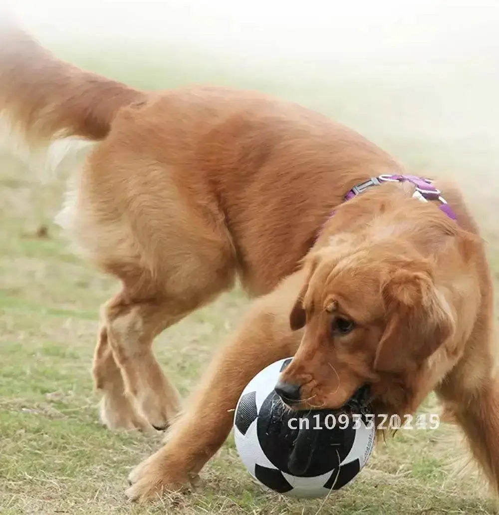 Pet Toy Toy Ball Bite-Resistant Basketball Rubber Handle Indestructible, Small and Dog Ball Game Interactive Training Large Dog