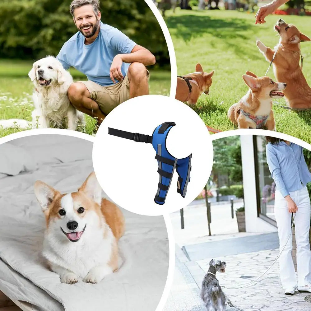 Dog Hip Brace Pet Orthopedic Joint Support Brace Portable Pet Knee Wound Protection For Small Animals Recovery