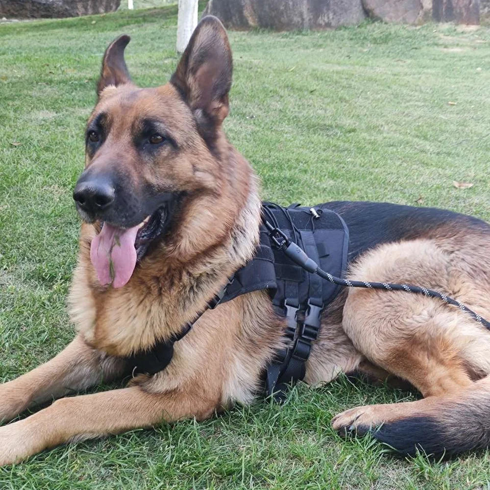 Personalized Name Dog Harness Customized Phone Breathable Adjustable Pet Harness for Medium Large Dog Chest Strap Vest