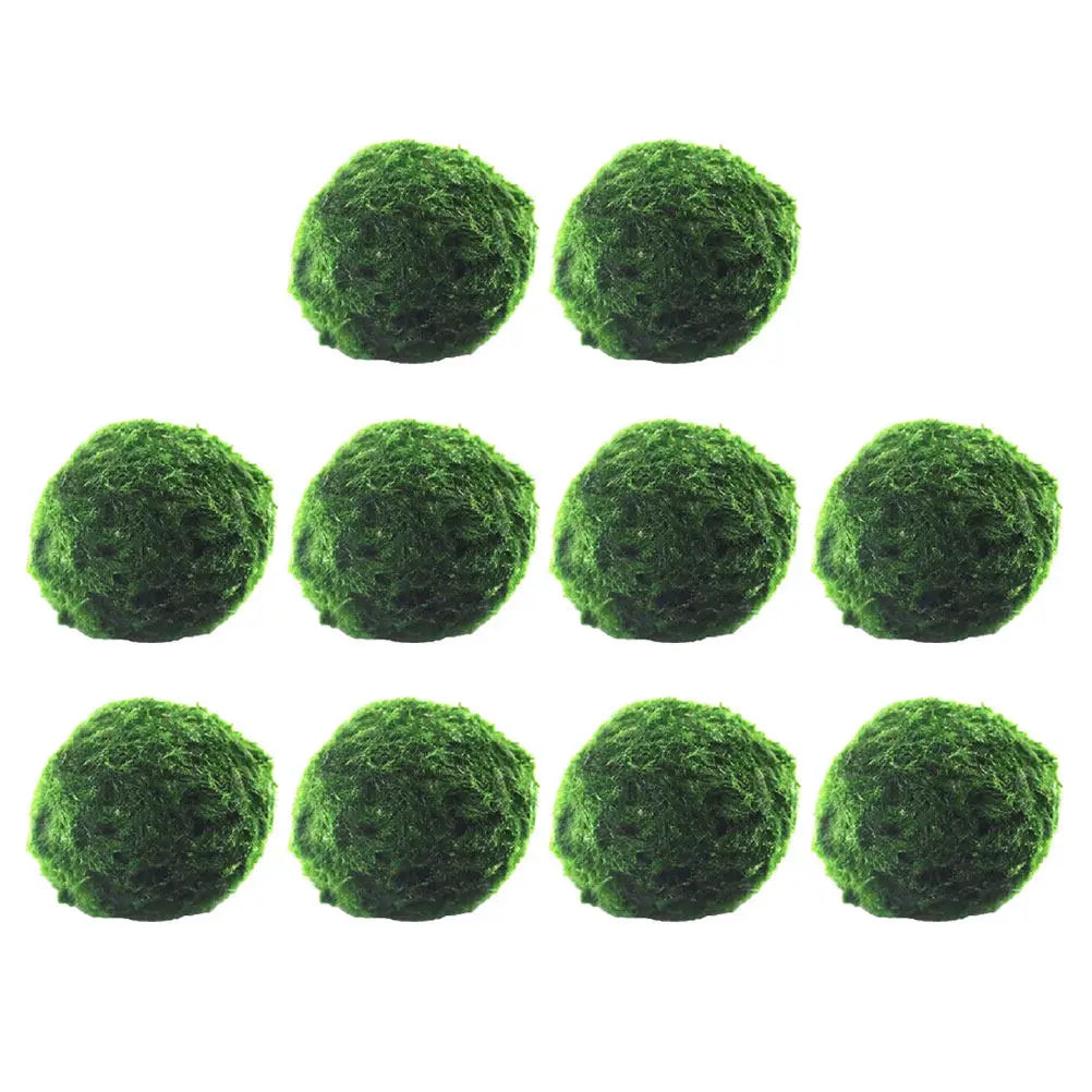 10Pcs Hydroponic Aquatic balls Decorative Fish Tank Supplies Creative Algae Balls Easy Growing Aquarium Plants