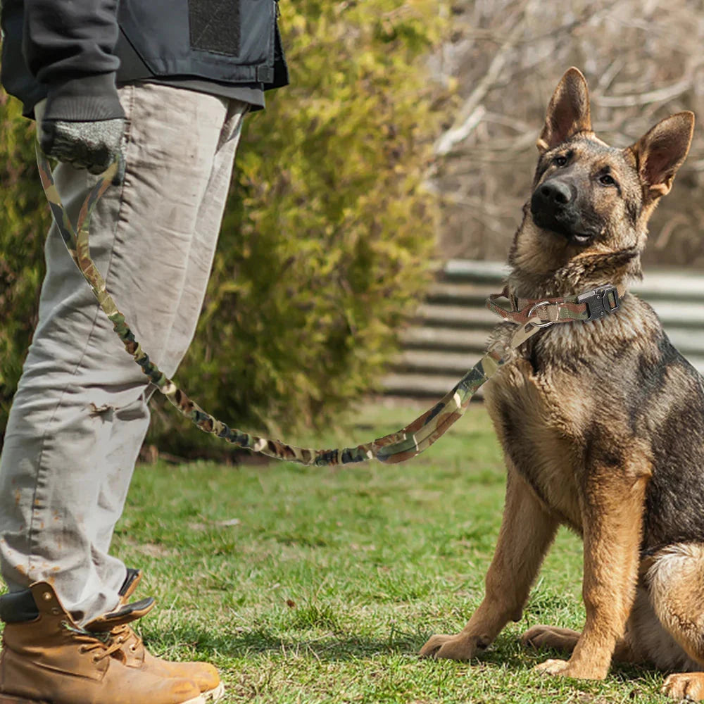 The Tactical Luxe Collar & Leash