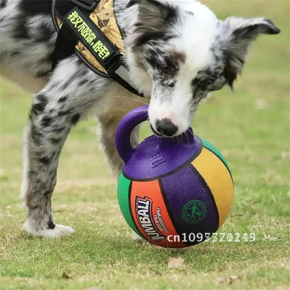 Pet Toy Toy Ball Bite-Resistant Basketball Rubber Handle Indestructible, Small and Dog Ball Game Interactive Training Large Dog
