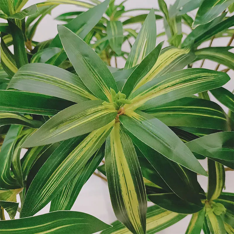 Dlight Decor 75cm Palm Tree with Real Touch Leaves