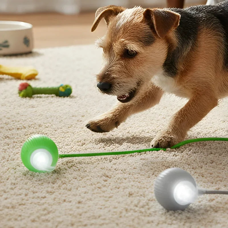 Cat Interactive Ball Toy Pet Automatic Rolling Ball Rechargeable Smart Puppy Interactive Toy Dog Electric Training Imitate Mouse