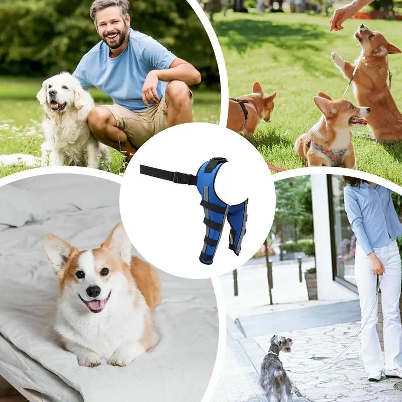 Dog Hip Brace Pet Orthopedic Joint Support Brace Portable Pet Knee Wound Protection For Small Animals Recovery