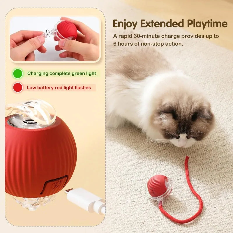 Cat Interactive Ball Toy Pet Automatic Rolling Ball Rechargeable Smart Puppy Interactive Toy Dog Electric Training Imitate Mouse