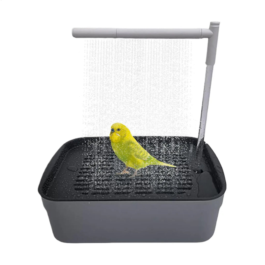 Bird bath tub, automatic bird bath tub with circulating water shower, low-noise bird shower for budgies, automatic pet bird bath