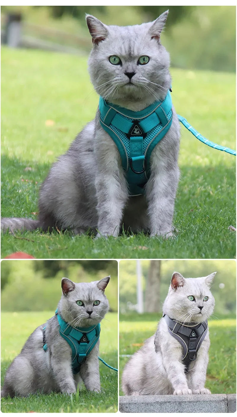 High Quality Fashion Cat Dog Harness and Leash Set Reflective Pet Harnesses Vest for Cats Small Dogs Pets Out Door Walk Supplies