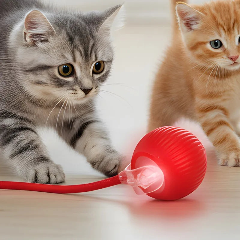 Cat Interactive Ball Toy Pet Automatic Rolling Ball Rechargeable Smart Puppy Interactive Toy Dog Electric Training Imitate Mouse