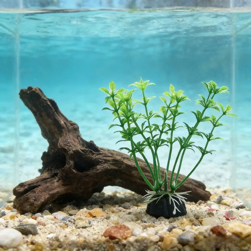 Aquarium Decorations Simulated Aquatic Plants Fish Tank Landscaping Plastic Seagrass Ornaments for Aquatic Pet Supplies