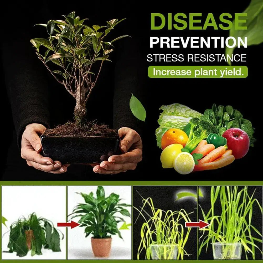Garden Soil Conditioner Mineral Source Activator For Prevent Soil Compaction Promote Rooting Flower Plant Fertilizer Nutrient