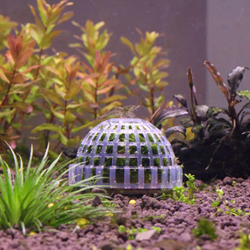 Aquatic Pet Supplies Decorations Aquarium Moss Ball Live Plants Filter Pet Decor