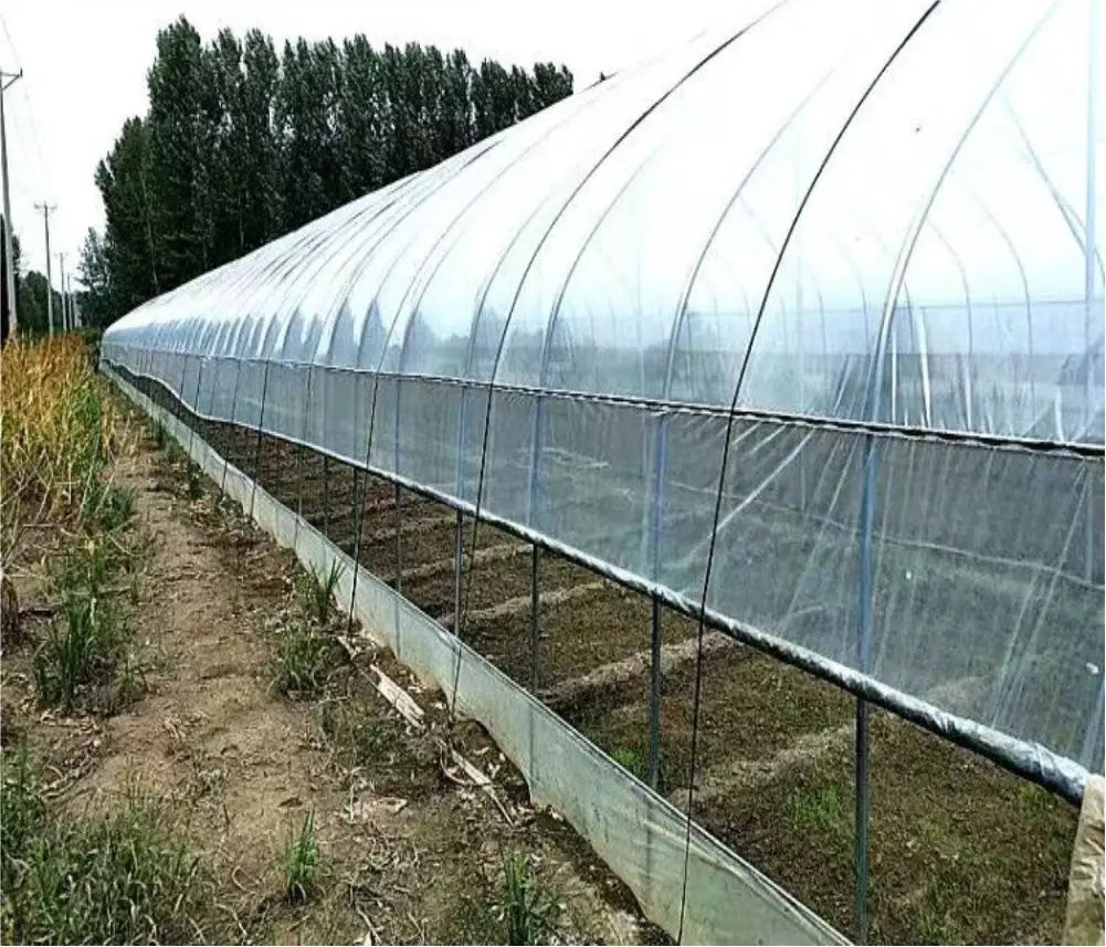 Gardening Greenhouse Film Growhouse Covers Frame Protective Vegetable Plant Flowers Grow Poly Film Cover Rain-pn-proof Keep Warm