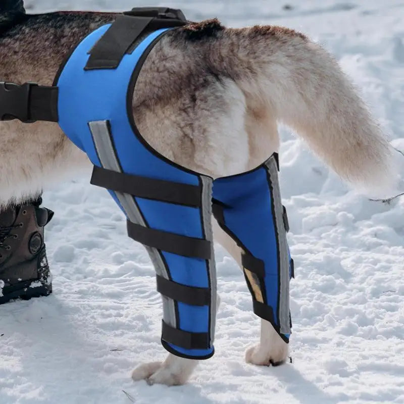 Dog Hip Brace Pet Orthopedic Joint Support Brace Portable Pet Knee Wound Protection For Small Animals Recovery