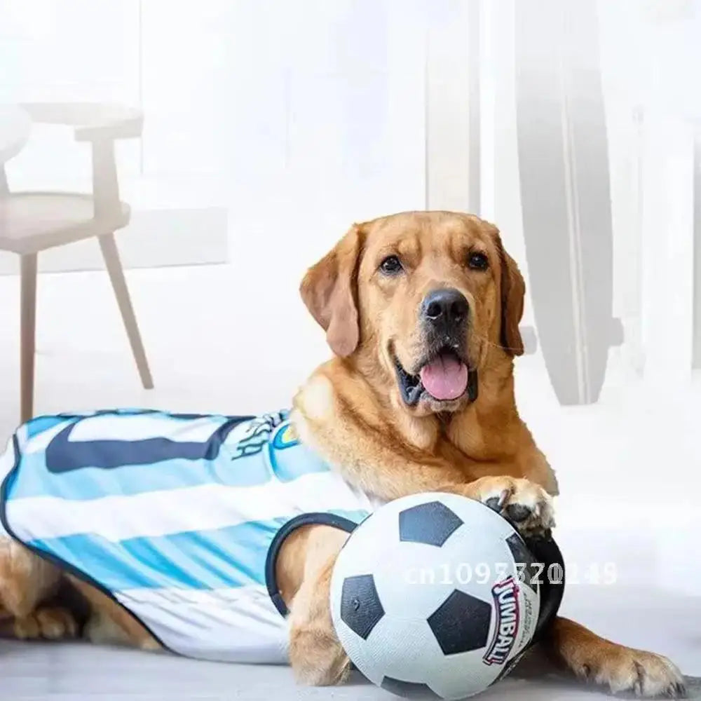 Pet Toy Toy Ball Bite-Resistant Basketball Rubber Handle Indestructible, Small and Dog Ball Game Interactive Training Large Dog
