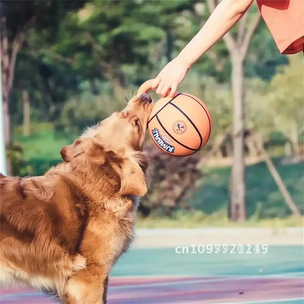 Pet Toy Toy Ball Bite-Resistant Basketball Rubber Handle Indestructible, Small and Dog Ball Game Interactive Training Large Dog